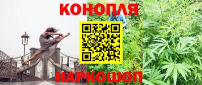 дживик Будённовск