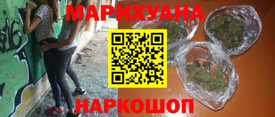 прущие грибы Новозыбков