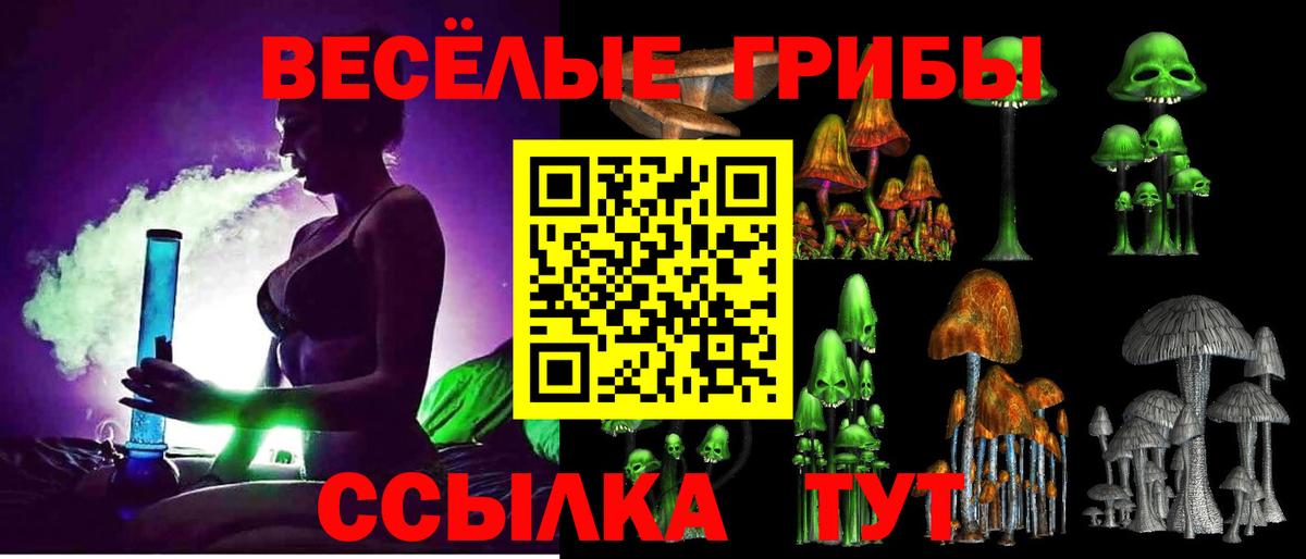 Галлюциногенные грибы Psilocybine cubensis  Вход с VPN  Уссурийск 